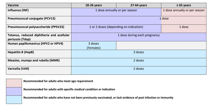 national-adult-immunisation-schedule